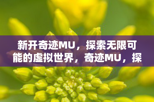 新开奇迹MU,探索无限可能的虚拟世界,奇迹MU,探索无限可能的虚拟世界 新开奇迹MU,探索无限可能的虚拟世界,奇迹MU,探索无限可能的虚拟世界