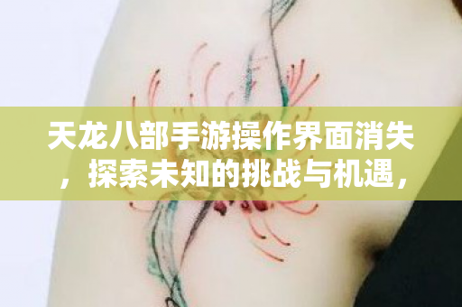 天龙八部手游操作界面消失,探索未知的挑战与机遇,天龙八部手游操作界面消失,玩家探索未知挑战与机遇 天龙八部手游操作界面消失,探索未知的挑战与机遇,天龙八部手游操作界面消失,玩家探索未知挑战与机遇