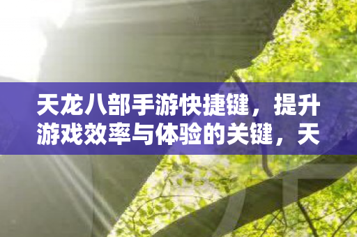 天龙八部手游快捷键,提升游戏效率与体验的关键,天龙八部手游快捷键,提升游戏效率与体验的关键 天龙八部手游快捷键,提升游戏效率与体验的关键,天龙八部手游快捷键,提升游戏效率与体验的关键