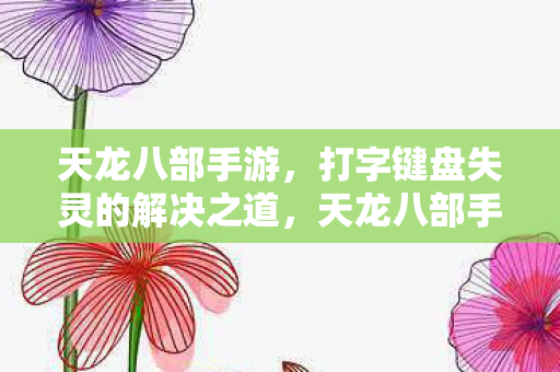 天龙八部手游，打字键盘失灵的解决之道，天龙八部手游键盘失灵怎么办？解决之道在这里！