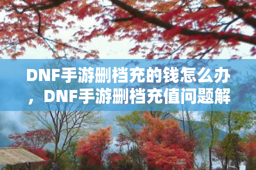 DNF手游删档充的钱怎么办图片