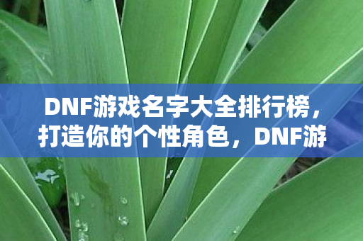 DNF游戏名字大全排行榜图片