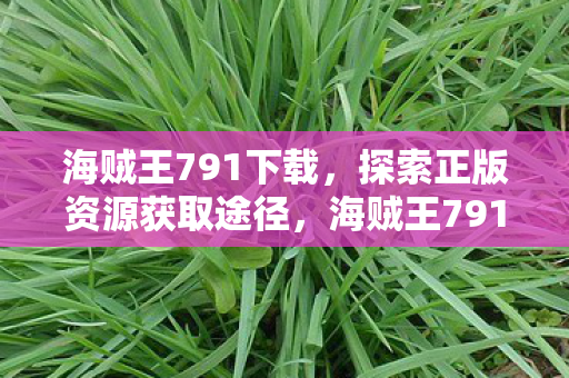 海贼王791下载,探索正版资源获取途径,海贼王791集下载,探索正版资源获取途径 海贼王791下载,探索正版资源获取途径,海贼王791集下载,探索正版资源获取途径