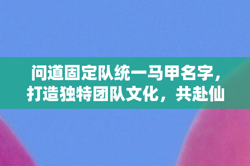 问道固定队统一马甲名字图片