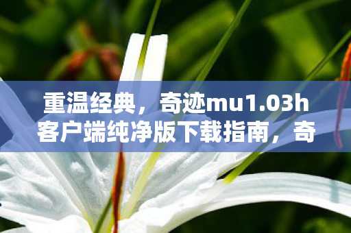 重温经典,奇迹mu1.03h客户端纯净版下载指南,奇迹mu1.03h客户端纯净版下载指南,重温经典,畅享游戏乐趣 重温经典,奇迹mu1.03h客户端纯净版下载指南,奇迹mu1.03h客户端纯净版下载指南,重温经典,畅享游戏乐趣
