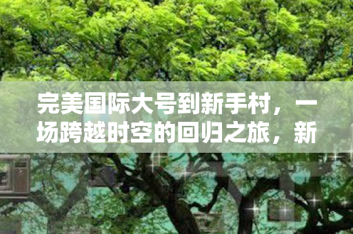 完美国际大号到新手村,一场跨越时空的回归之旅,新手村之旅,完美国际大号的时空回归 完美国际大号到新手村,一场跨越时空的回归之旅,新手村之旅,完美国际大号的时空回归
