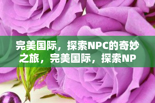 完美国际,探索NPC的奇妙之旅,完美国际,探索NPC的奇妙旅程 完美国际,探索NPC的奇妙之旅,完美国际,探索NPC的奇妙旅程