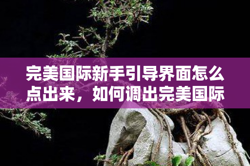 完美国际新手引导界面怎么点出来,如何调出完美国际新手引导界面? 完美国际新手引导界面怎么点出来,如何调出完美国际新手引导界面?