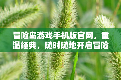 冒险岛游戏手机版官网,重温经典,随时随地开启冒险之旅,冒险岛手游官网,重温经典,随时随地开启冒险之旅 冒险岛游戏手机版官网,重温经典,随时随地开启冒险之旅,冒险岛手游官网,重温经典,随时随地开启冒险之旅
