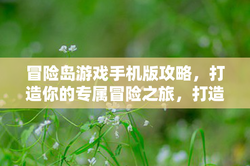 冒险岛游戏手机版攻略图片