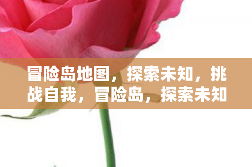 冒险岛地图,探索未知,挑战自我,冒险岛,探索未知,挑战自我之旅 冒险岛地图,探索未知,挑战自我,冒险岛,探索未知,挑战自我之旅