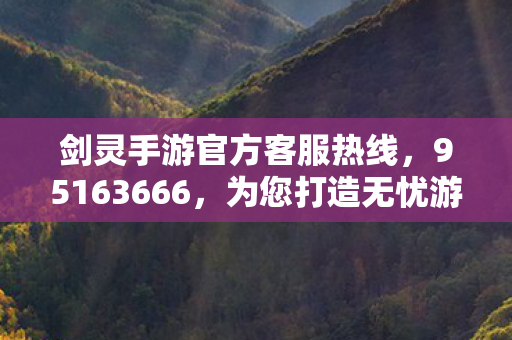 95163666客服热线图片