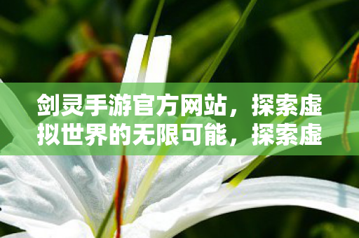 探索虚拟世界的无限可能图片