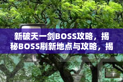 揭秘新破天一剑BOSS刷新地点与攻略图片