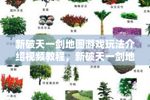 新破天一剑地图游戏玩法介绍视频教程图片
