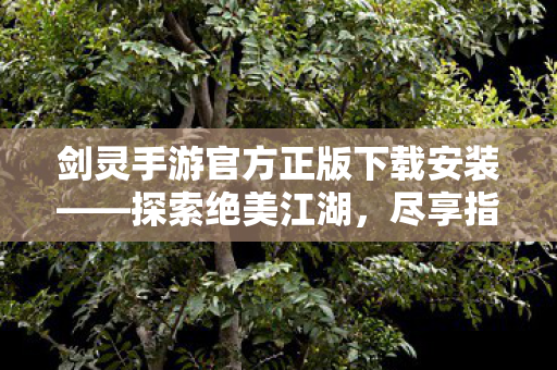 剑灵手游官方正版下载安装图片
