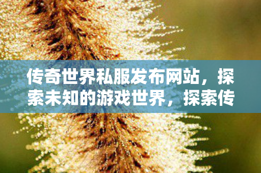 传奇世界私服发布网站,探索未知的游戏世界,探索传奇世界私服,解锁未知游戏世界 传奇世界私服发布网站,探索未知的游戏世界,探索传奇世界私服,解锁未知游戏世界