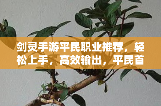 剑灵手游轻松上手职业推荐图片