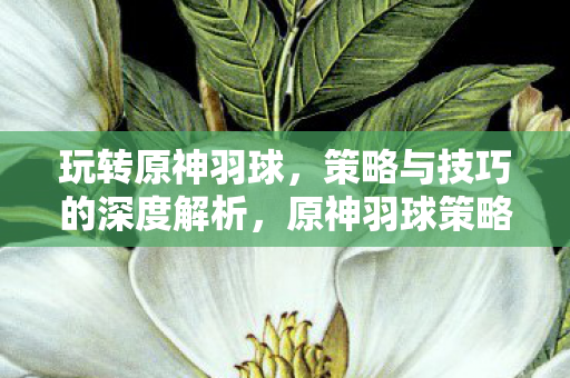 原神羽球策略与技巧深度解析图片