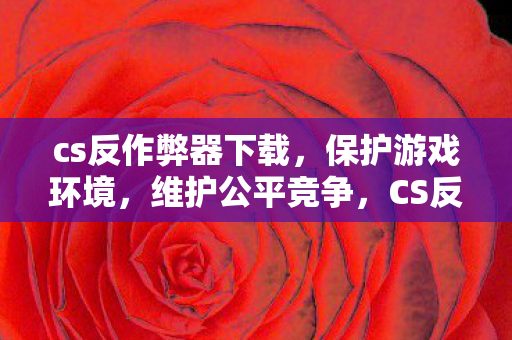 cs反作弊器下载图片