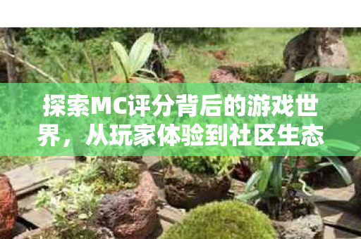 探索MC评分背后的游戏世界,从玩家体验到社区生态的全方位解析,MC评分背后的游戏世界,玩家体验与社区生态的全方位解析 探索MC评分背后的游戏世界,从玩家体验到社区生态的全方位解析,MC评分背后的游戏世界,玩家体验与社区生态的全方位解析
