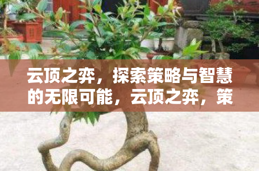 云顶之弈,探索策略与智慧的无限可能,云顶之弈,策略与智慧的无限探索之旅 云顶之弈,探索策略与智慧的无限可能,云顶之弈,策略与智慧的无限探索之旅