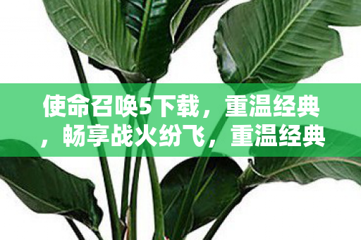 使命召唤5下载,重温经典,畅享战火纷飞,重温经典战火纷飞,使命召唤5免费下载 使命召唤5下载,重温经典,畅享战火纷飞,重温经典战火纷飞,使命召唤5免费下载