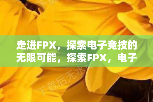 走进FPX,探索电子竞技的无限可能,探索FPX,电子竞技的无限可能 走进FPX,探索电子竞技的无限可能,探索FPX,电子竞技的无限可能