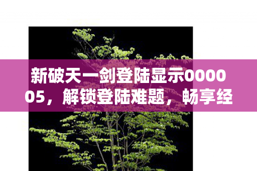 新破天一剑登陆显示000005图片