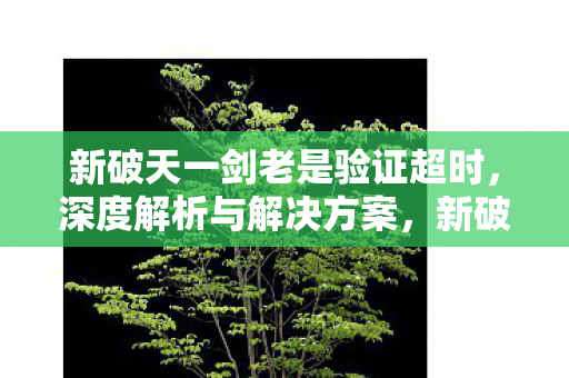 新破天一剑验证超时问题深度解析与解决方案图片