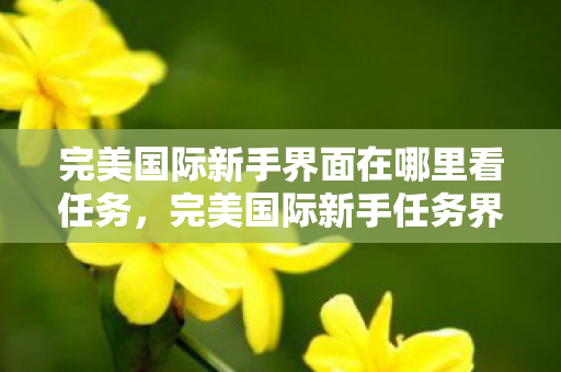 完美国际新手界面在哪里看任务,完美国际新手任务界面查看方法 完美国际新手界面在哪里看任务,完美国际新手任务界面查看方法