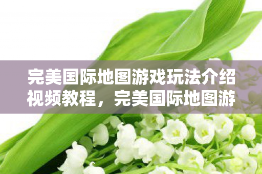 完美国际地图游戏玩法介绍视频教程,完美国际地图游戏玩法全解析 完美国际地图游戏玩法介绍视频教程,完美国际地图游戏玩法全解析