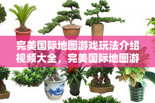 完美国际地图游戏玩法介绍视频大全图片