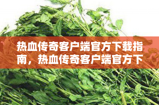 热血传奇客户端官方下载指南,热血传奇客户端官方下载指南,快速安全获取游戏客户端 热血传奇客户端官方下载指南,热血传奇客户端官方下载指南,快速安全获取游戏客户端