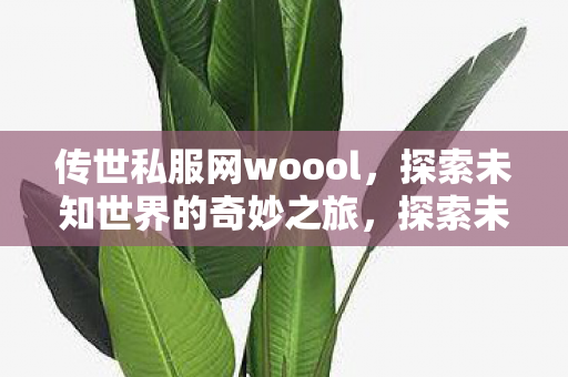 传世私服网woool,探索未知世界的奇妙之旅,探索未知世界的奇妙之旅,传世私服网woool 传世私服网woool,探索未知世界的奇妙之旅,探索未知世界的奇妙之旅,传世私服网woool