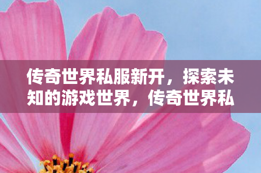 传奇世界私服新开，探索未知的游戏世界，传奇世界私服新开启，探索未知的游戏世界