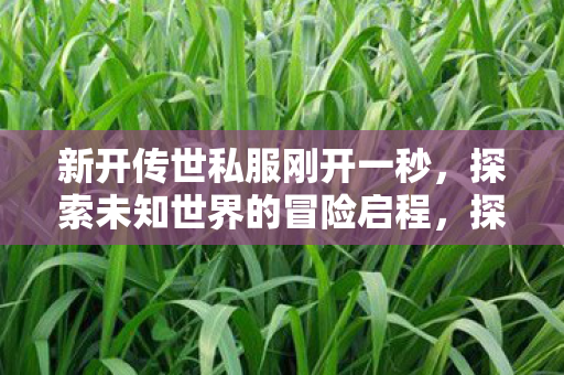 探索未知世界的冒险启程图片
