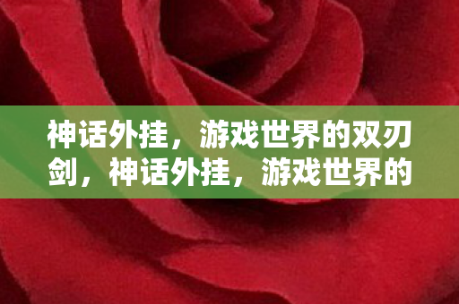 神话外挂，游戏世界的双刃剑，神话外挂，游戏世界的双刃剑