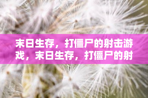 末日生存,打僵尸的射击游戏,末日生存,打僵尸的射击游戏 末日生存,打僵尸的射击游戏,末日生存,打僵尸的射击游戏