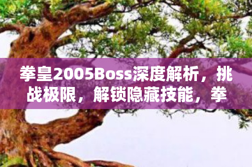 拳皇2005Boss深度解析,挑战极限,解锁隐藏技能,拳皇2005Boss挑战,解锁隐藏技能,迎接极限挑战 拳皇2005Boss深度解析,挑战极限,解锁隐藏技能,拳皇2005Boss挑战,解锁隐藏技能,迎接极限挑战
