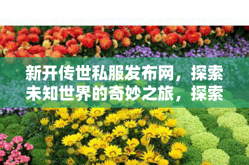 探索未知世界的奇妙之旅图片
