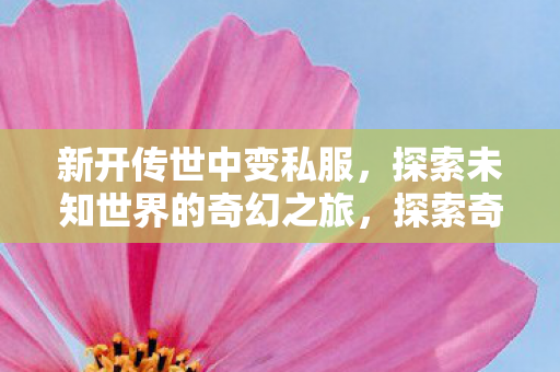新开传世中变私服等你来战图片