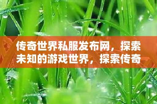 传奇世界私服发布网图片
