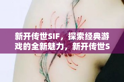 探索经典游戏的全新魅力图片