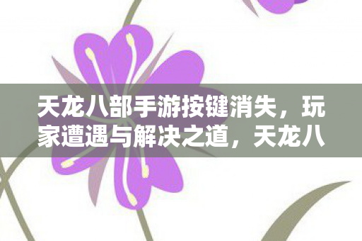 天龙八部手游按键消失,玩家遭遇与解决之道,天龙八部手游按键消失问题及其解决策略 天龙八部手游按键消失,玩家遭遇与解决之道,天龙八部手游按键消失问题及其解决策略