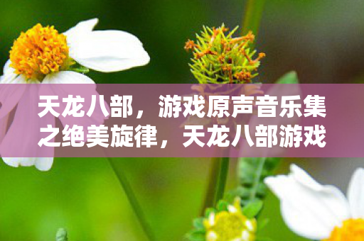 天龙八部,游戏原声音乐集之绝美旋律,天龙八部游戏原声音乐,绝美旋律震撼人心 天龙八部,游戏原声音乐集之绝美旋律,天龙八部游戏原声音乐,绝美旋律震撼人心