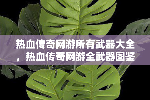 热血传奇网游所有武器大全,热血传奇网游全武器图鉴 热血传奇网游所有武器大全,热血传奇网游全武器图鉴