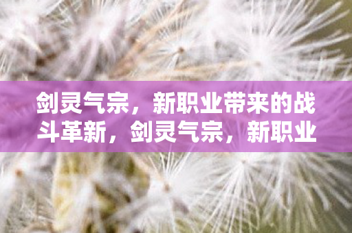 新职业带来的战斗革新图片