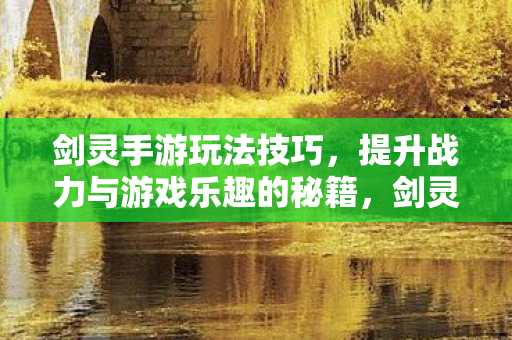 提升战力与游戏乐趣的秘籍图片