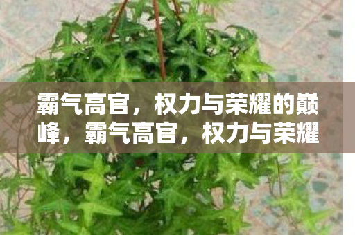 权力与荣耀的巅峰图片